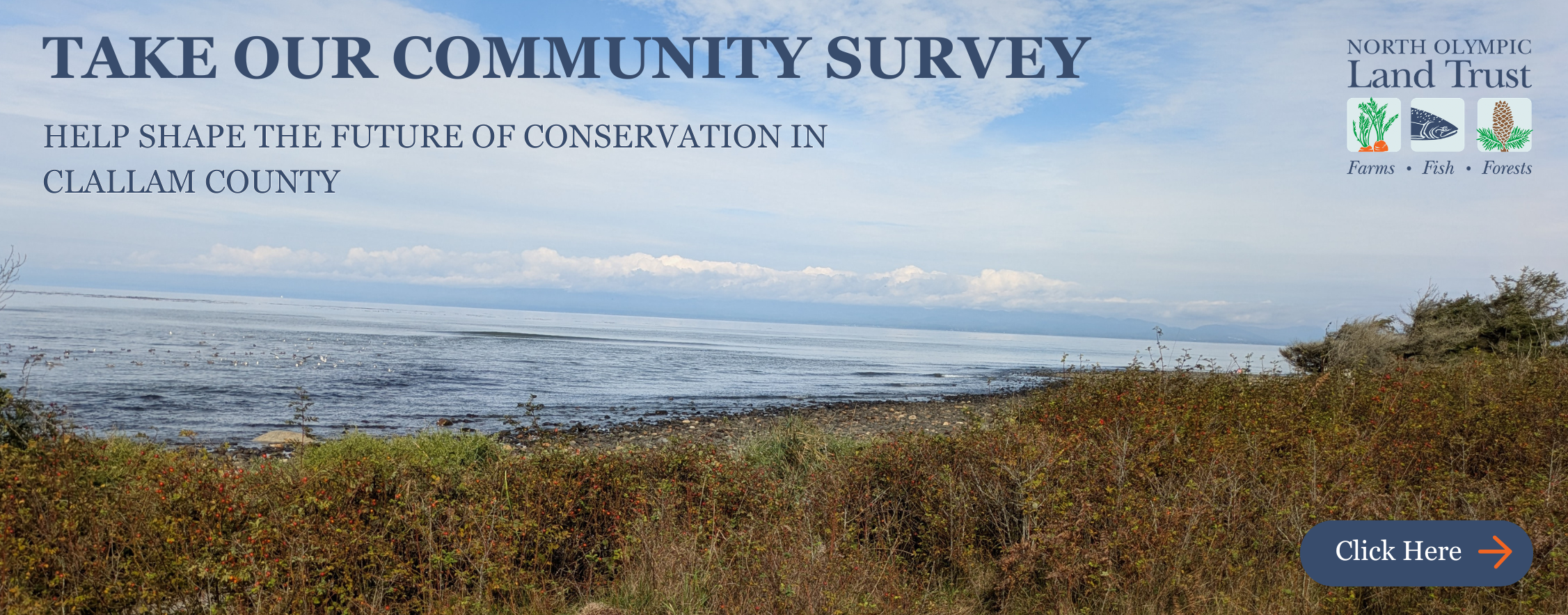 Community Survey Banner